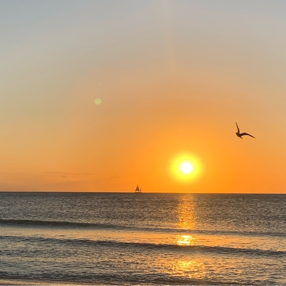 Meet your Posher, Annie! - Picture 7 of 9